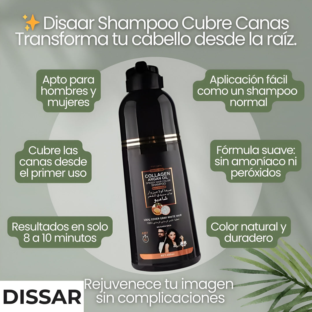 Dissar Champú Cubre Canas 3 en 1