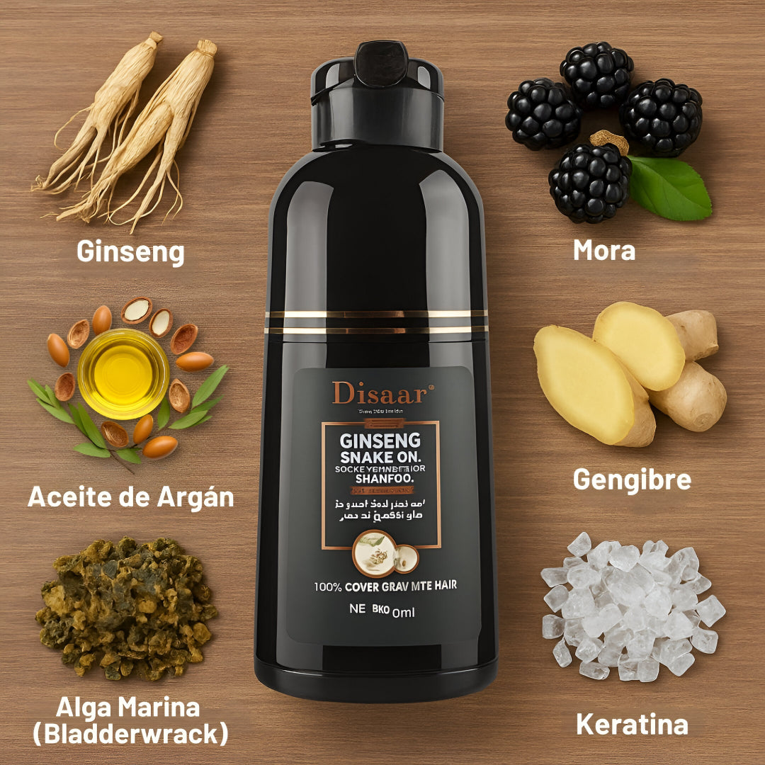 Dissar Champú Cubre Canas 3 en 1