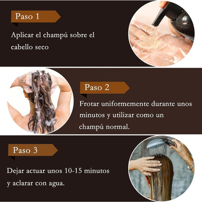 Dissar Champú Cubre Canas 3 en 1