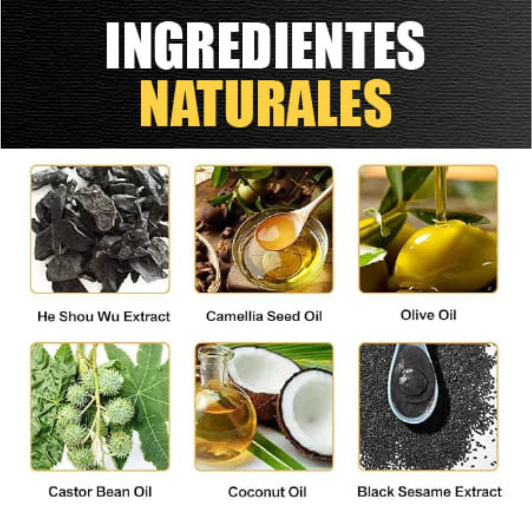 Dissar Champú Cubre Canas 3 en 1